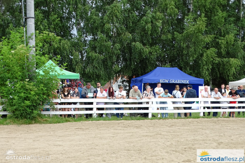 I Wystawa Ras Koni Zimnokrwistych w Stajni Szyldak