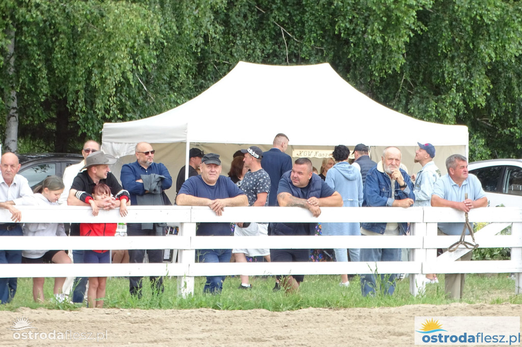 I Wystawa Ras Koni Zimnokrwistych w Stajni Szyldak