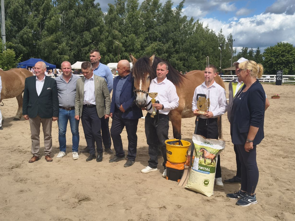 Fanta i Tasman wygrały Wystawę Koni FOTO cz.1