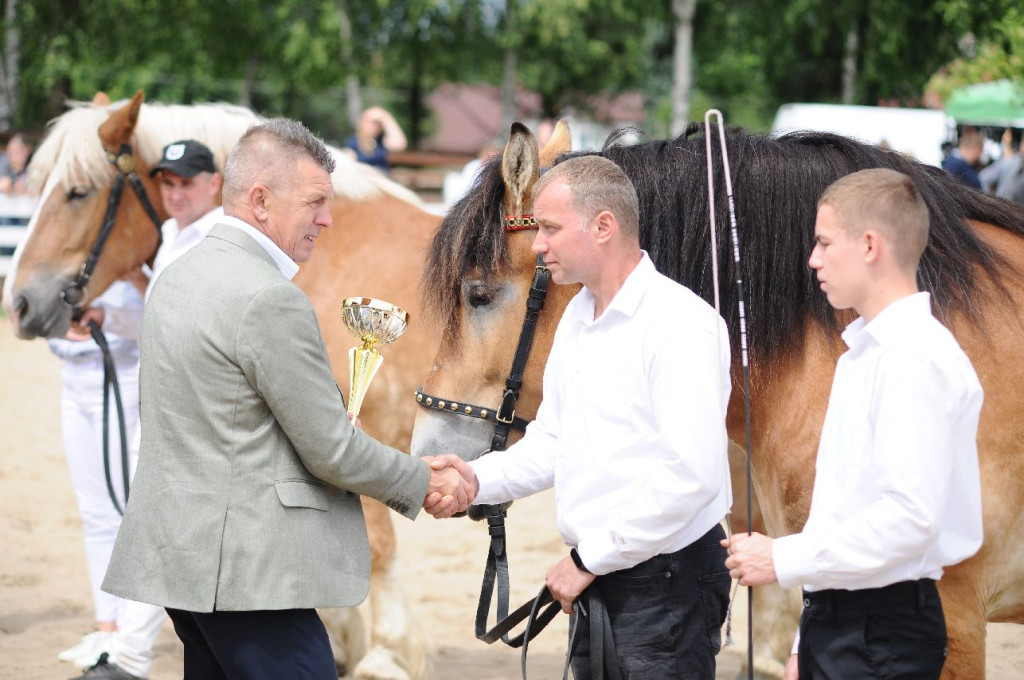 Fanta i Tasman wygrały Wystawę Koni FOTO cz.1