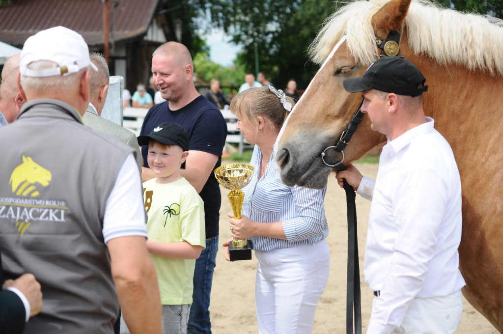 Fanta i Tasman wygrały Wystawę Koni FOTO cz.1