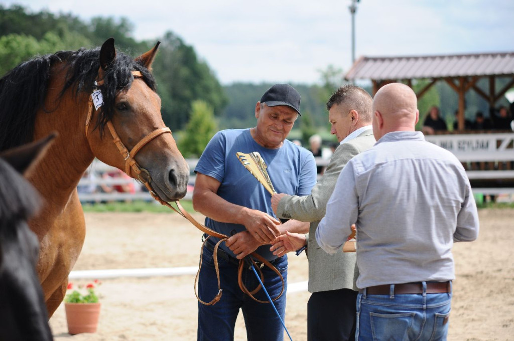 Fanta i Tasman wygrały Wystawę Koni FOTO cz.1