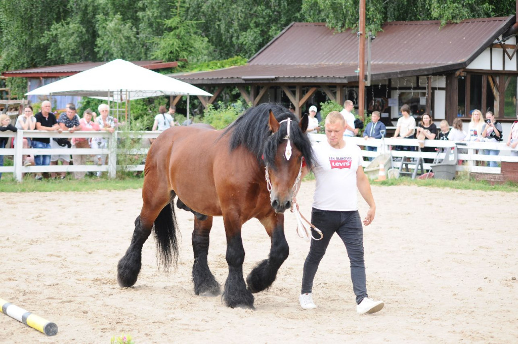 Fanta i Tasman wygrały Wystawę Koni FOTO cz.1