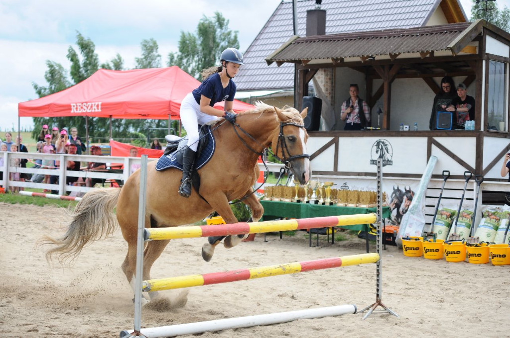 Fanta i Tasman wygrały Wystawę Koni FOTO cz.1