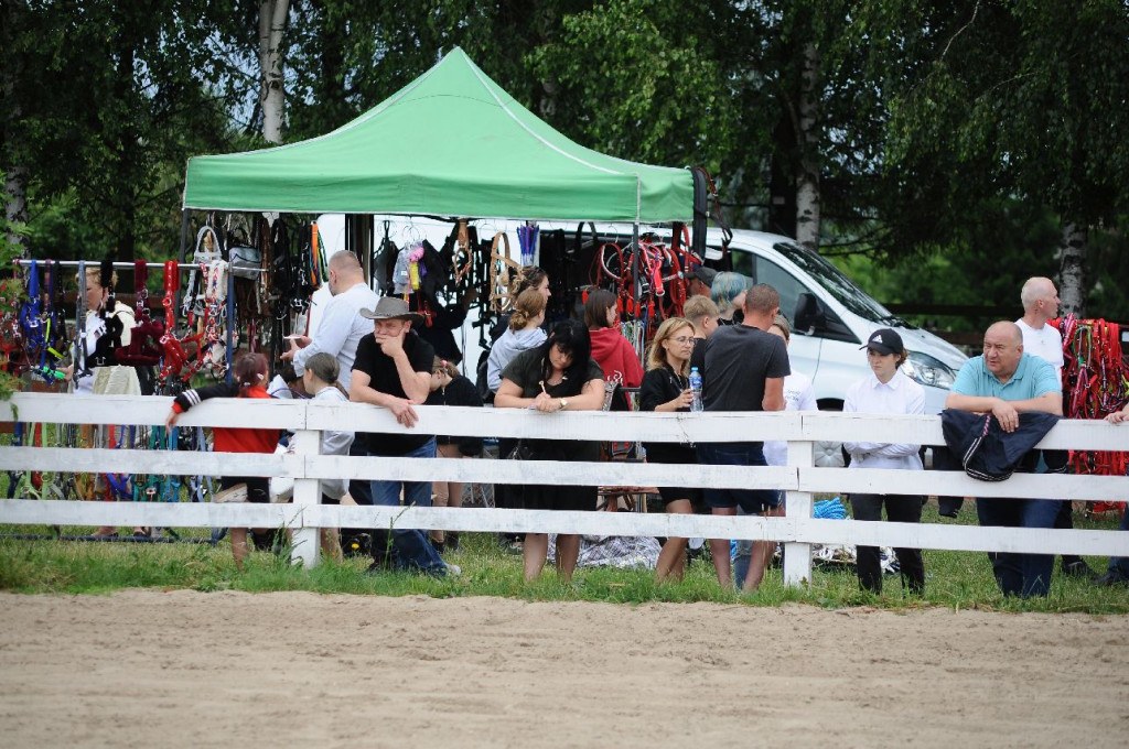 Fanta i Tasman wygrały Wystawę Koni FOTO cz.1