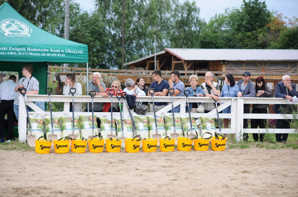 Fanta i Tasman wygrały Wystawę Koni FOTO cz.1