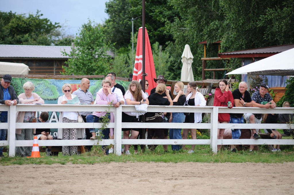 Fanta i Tasman wygrały Wystawę Koni FOTO cz.1