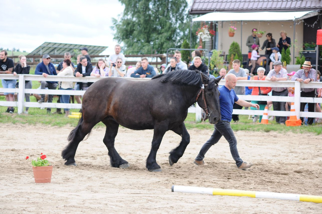 Fanta i Tasman wygrały Wystawę Koni FOTO cz.1