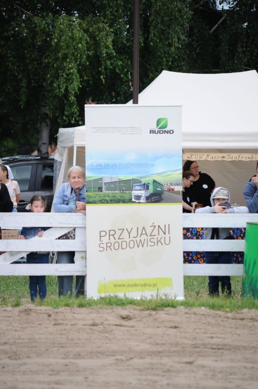 Fanta i Tasman wygrały Wystawę Koni FOTO cz.2