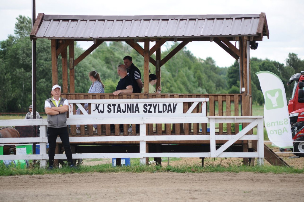 Fanta i Tasman wygrały Wystawę Koni FOTO cz.2