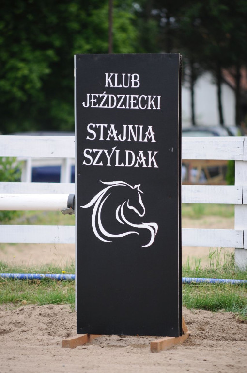 Fanta i Tasman wygrały Wystawę Koni FOTO cz.2