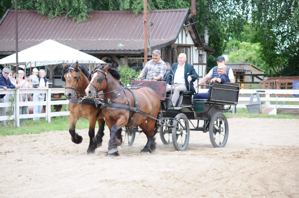 Fanta i Tasman wygrały Wystawę Koni FOTO cz.2