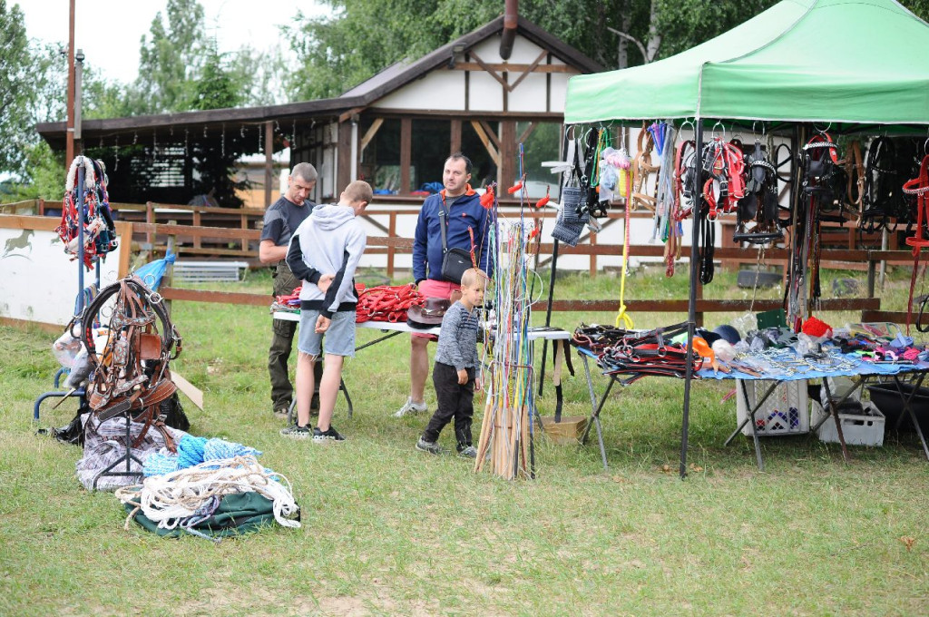 Fanta i Tasman wygrały Wystawę Koni FOTO cz.2