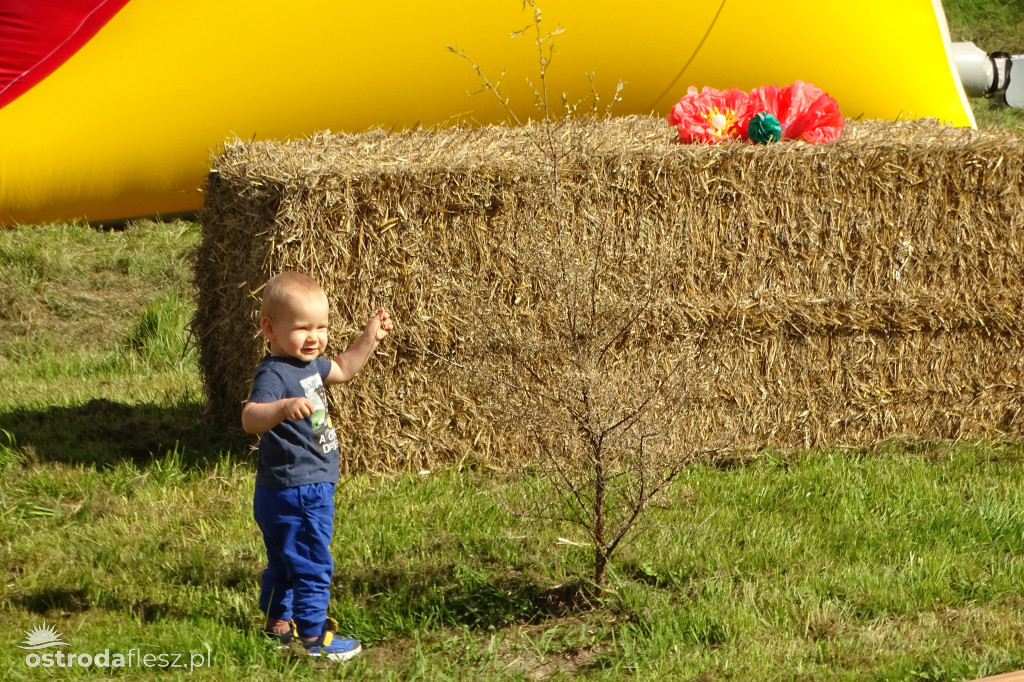 Parkour dla hobby horse w Lichtajnach otwarty!
