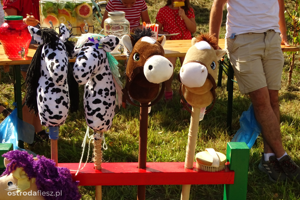Parkour dla hobby horse w Lichtajnach otwarty!