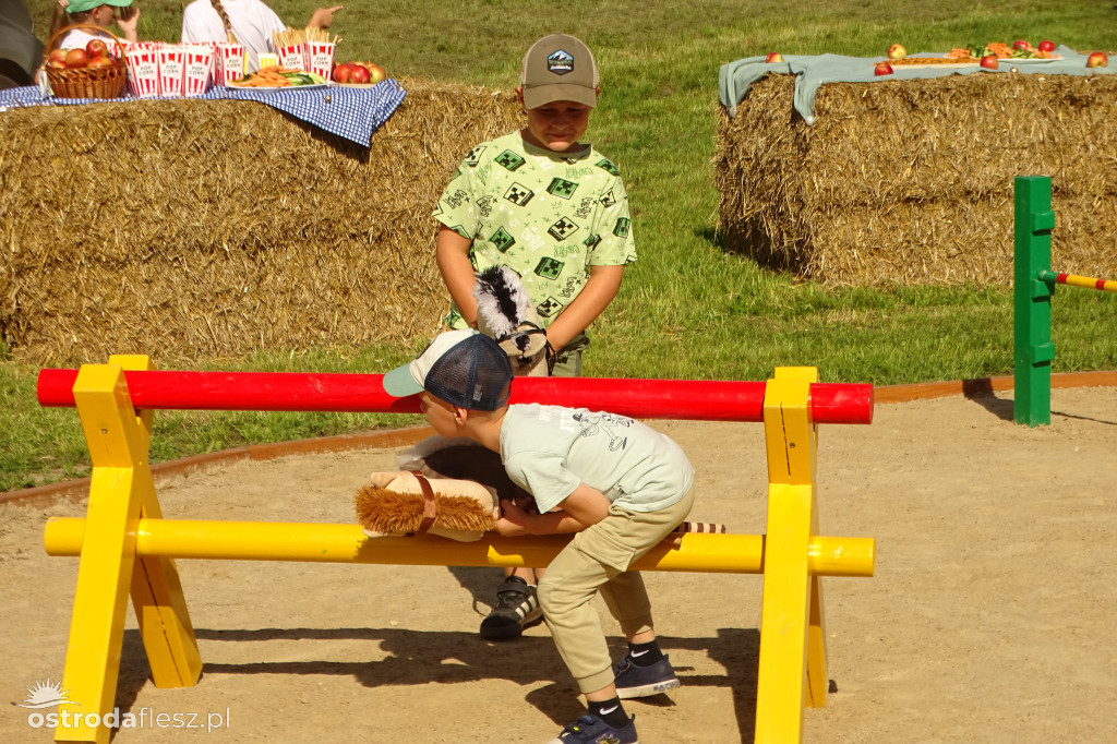 Parkour dla hobby horse w Lichtajnach otwarty!