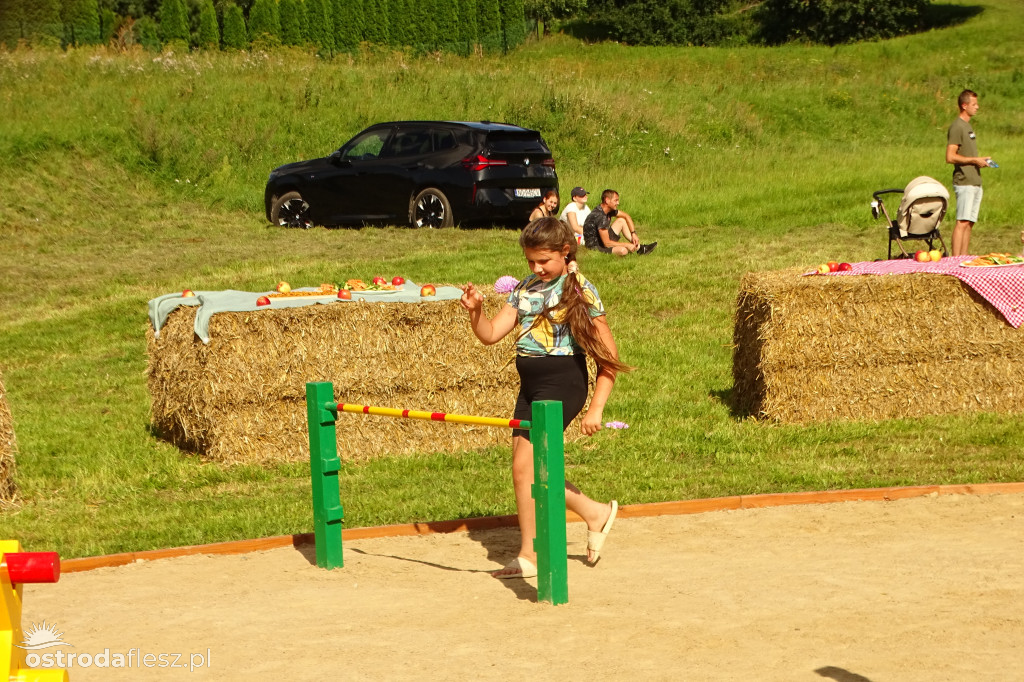 Parkour dla hobby horse w Lichtajnach otwarty!