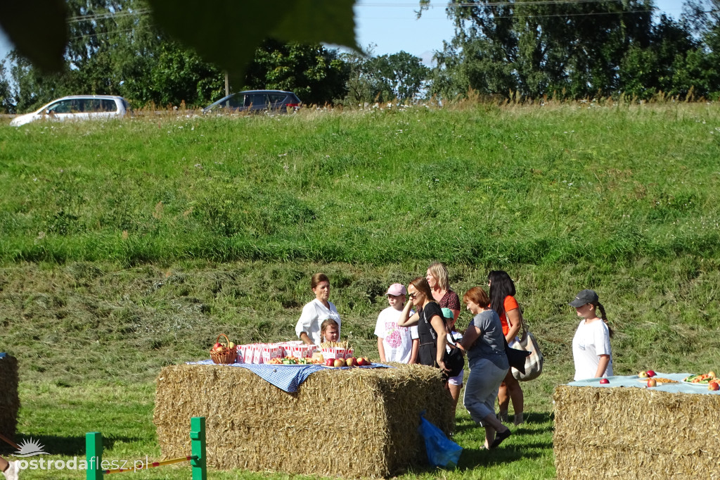 Parkour dla hobby horse w Lichtajnach otwarty!