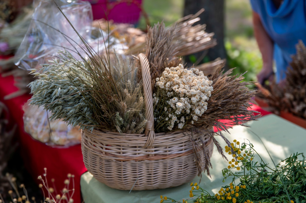 Festiwal lnu w Miłakowie za nami - podsumowanie