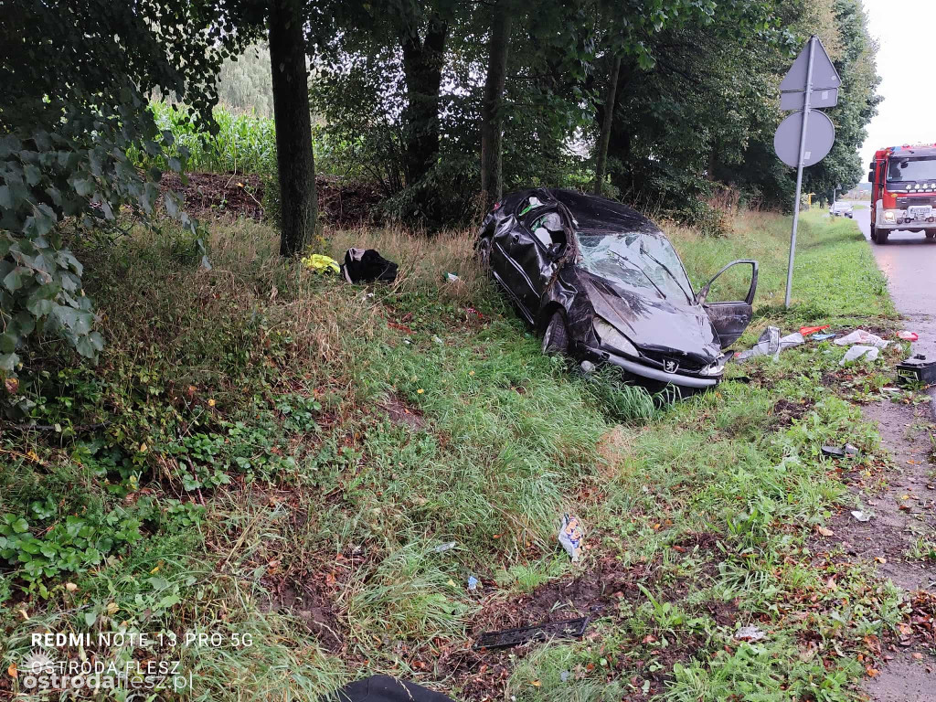 Peugeot dachował między Szyldakiem a Rychnowem!