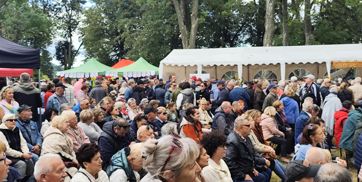 Tłumy na Mazurskim Dniu Ziemniaka w Kraplewie