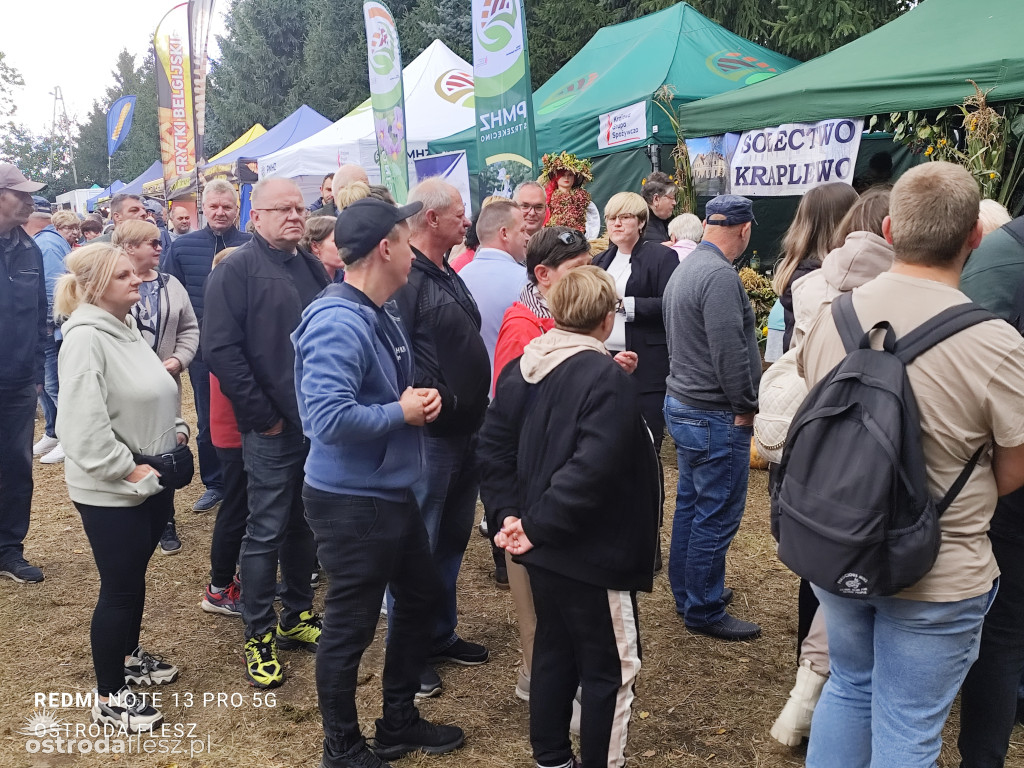 Tłumy na Mazurskim Dniu Ziemniaka w Kraplewie