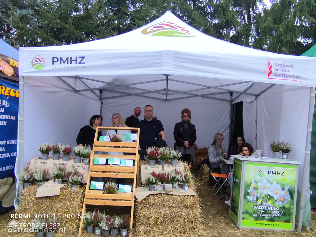 Tłumy na Mazurskim Dniu Ziemniaka w Kraplewie