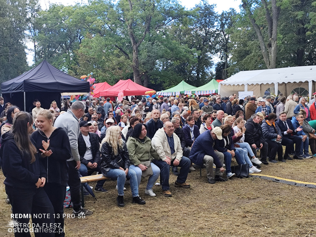 Tłumy na Mazurskim Dniu Ziemniaka w Kraplewie