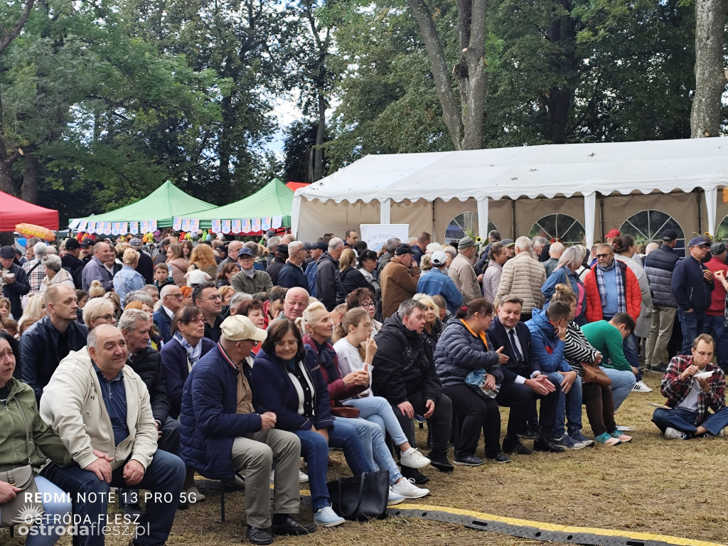Tłumy na Mazurskim Dniu Ziemniaka w Kraplewie