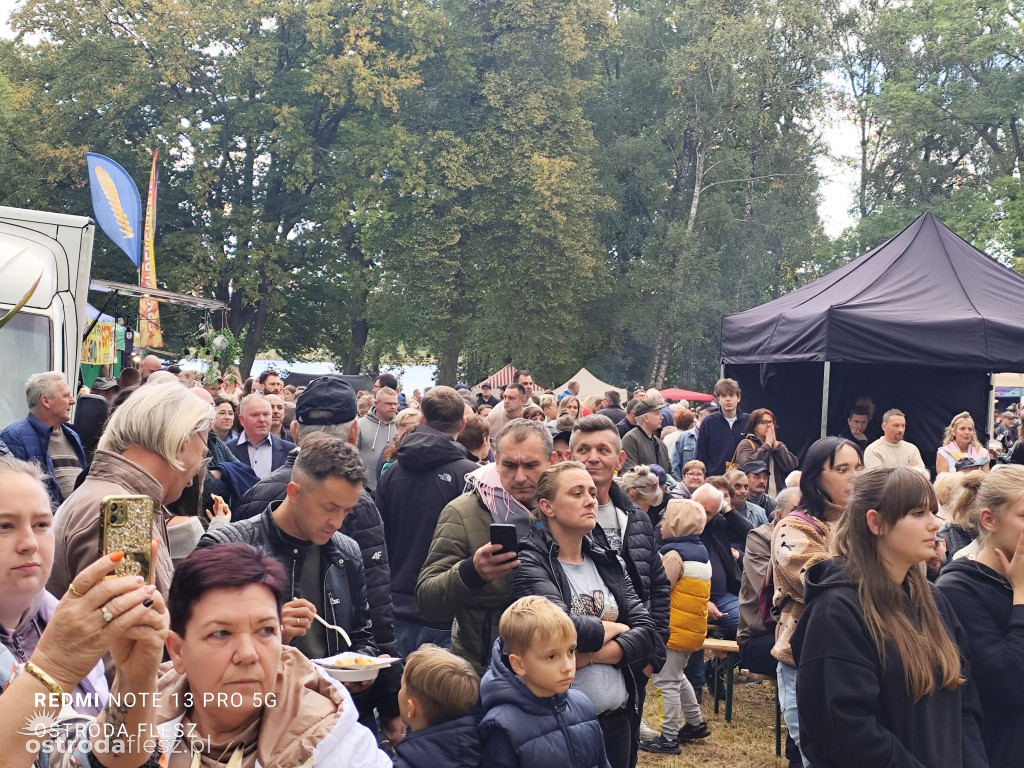 Tłumy na Mazurskim Dniu Ziemniaka w Kraplewie