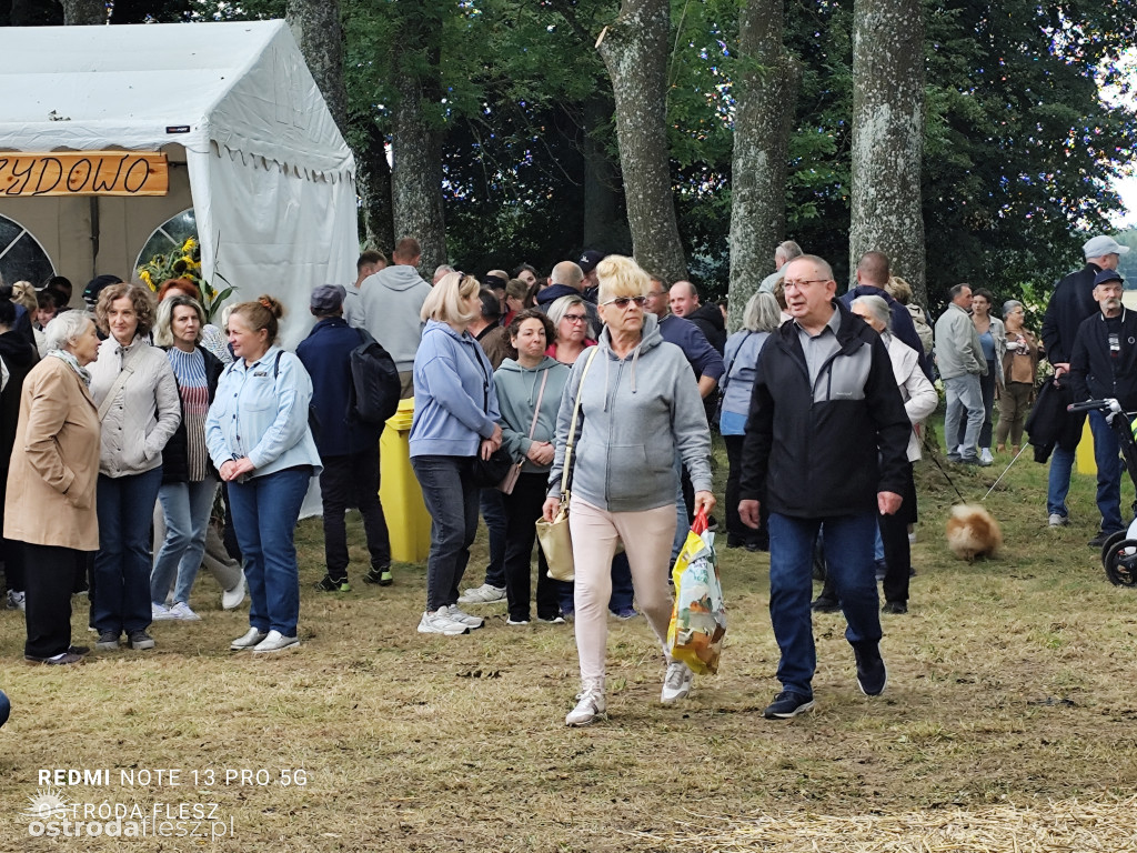 Tłumy na Mazurskim Dniu Ziemniaka w Kraplewie
