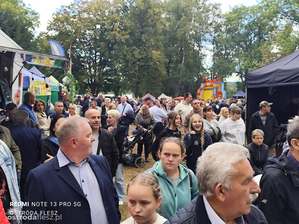 Tłumy na Mazurskim Dniu Ziemniaka w Kraplewie