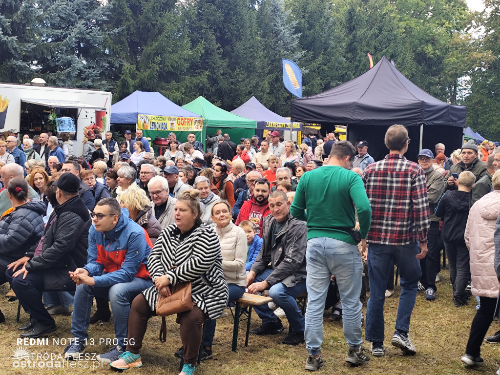Tłumy na Mazurskim Dniu Ziemniaka w Kraplewie