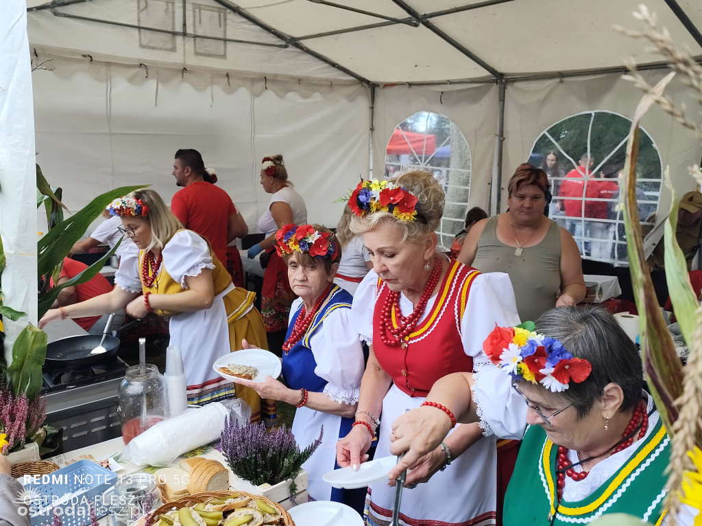Tłumy na Mazurskim Dniu Ziemniaka w Kraplewie