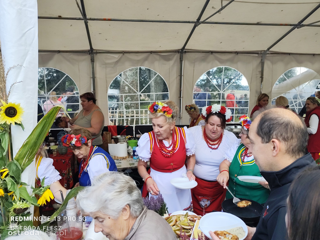 Tłumy na Mazurskim Dniu Ziemniaka w Kraplewie