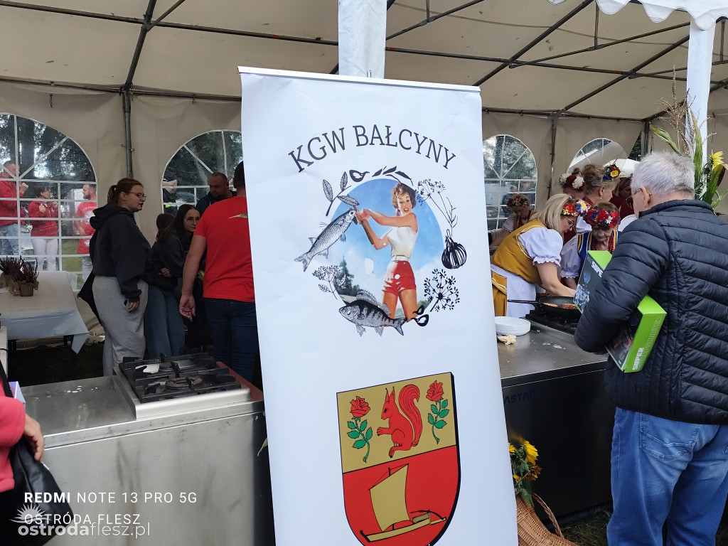 Tłumy na Mazurskim Dniu Ziemniaka w Kraplewie