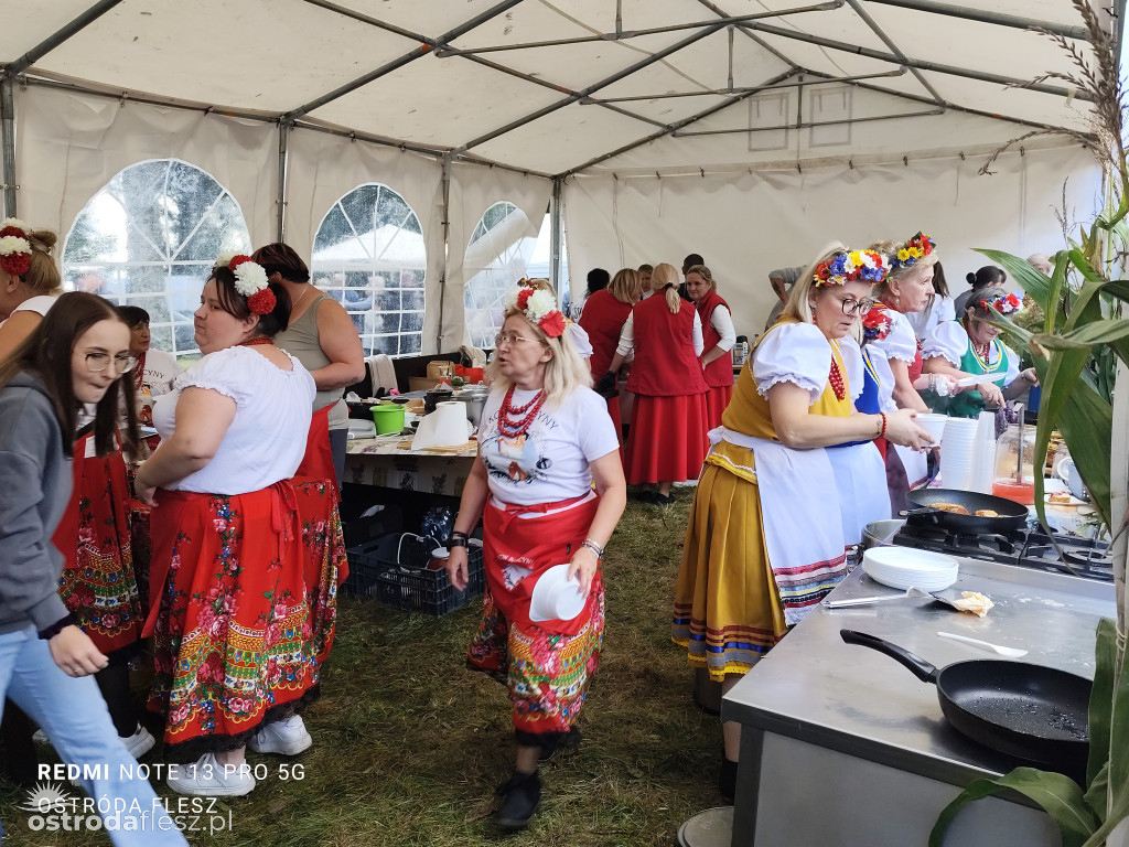 Tłumy na Mazurskim Dniu Ziemniaka w Kraplewie