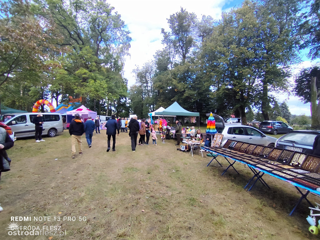 Tłumy na Mazurskim Dniu Ziemniaka w Kraplewie