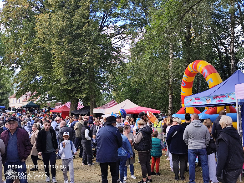 Tłumy na Mazurskim Dniu Ziemniaka w Kraplewie