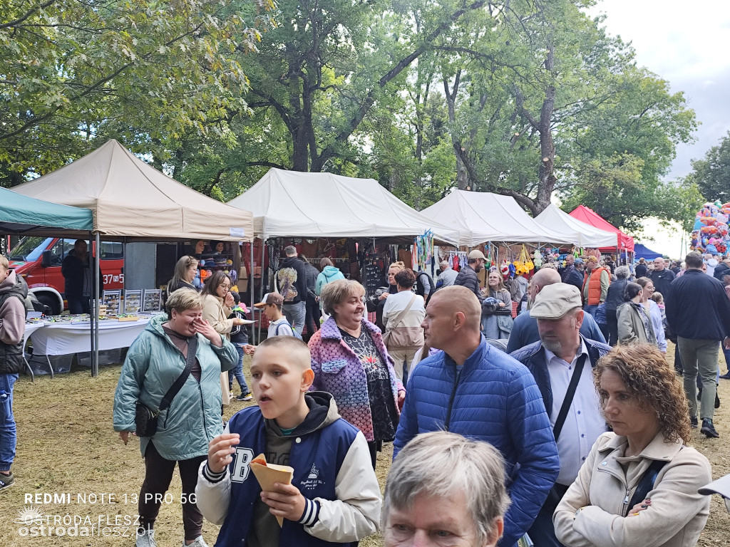 Tłumy na Mazurskim Dniu Ziemniaka w Kraplewie