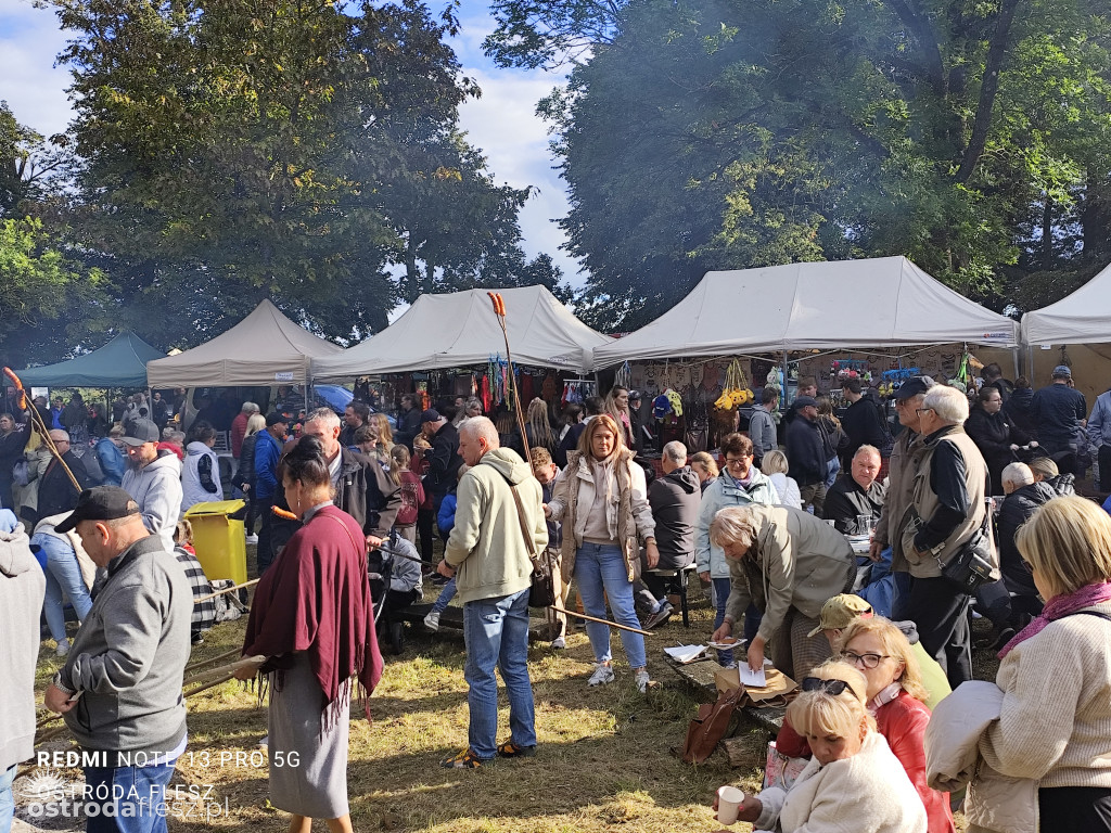 Tłumy na Mazurskim Dniu Ziemniaka w Kraplewie