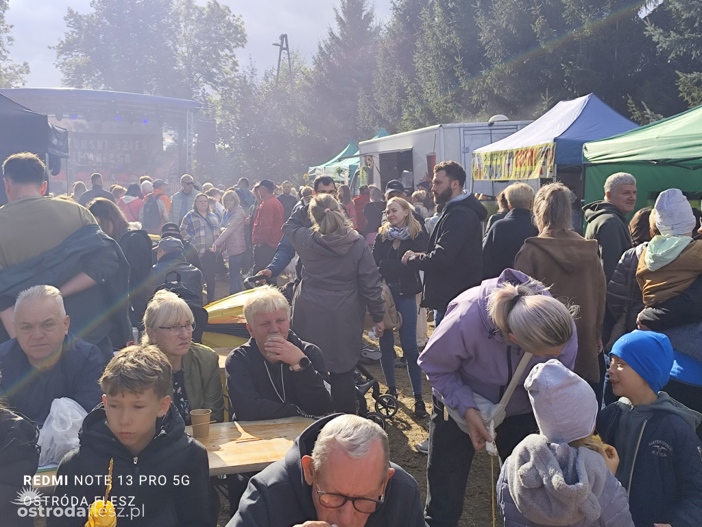 Tłumy na Mazurskim Dniu Ziemniaka w Kraplewie