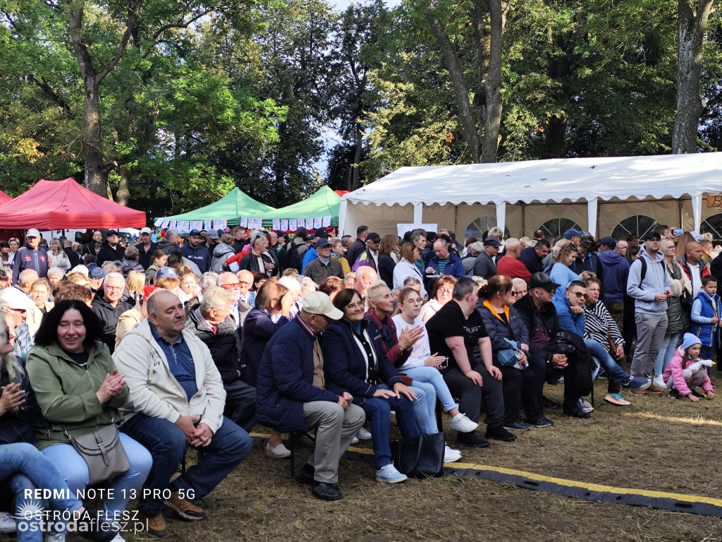 Tłumy na Mazurskim Dniu Ziemniaka w Kraplewie