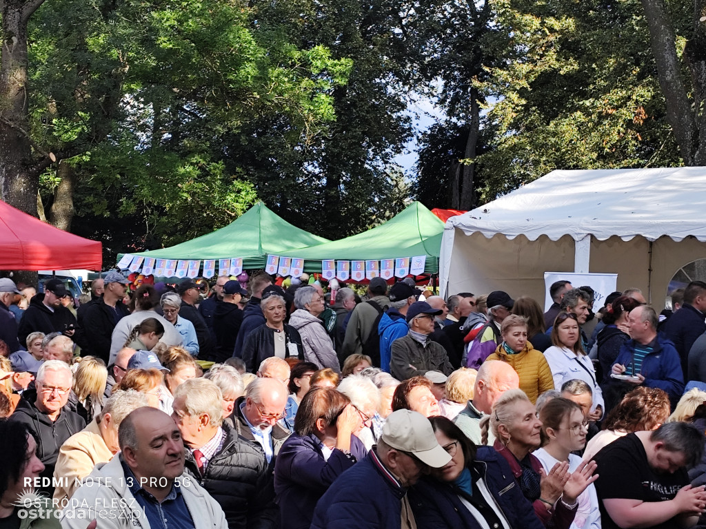 Tłumy na Mazurskim Dniu Ziemniaka w Kraplewie