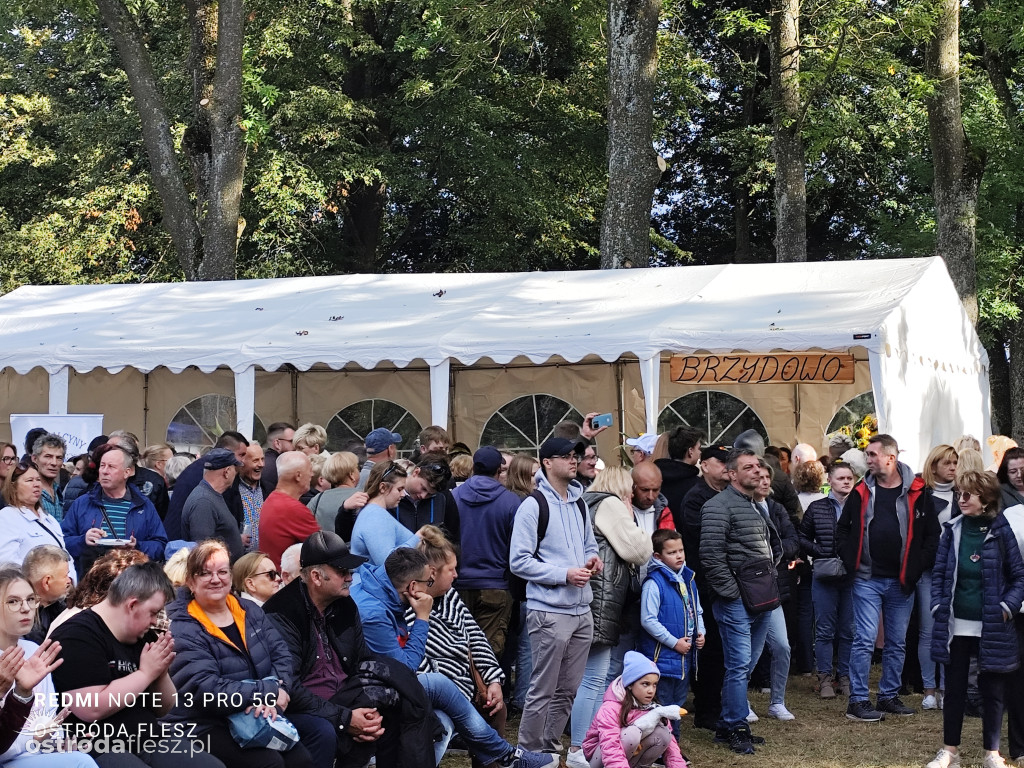 Tłumy na Mazurskim Dniu Ziemniaka w Kraplewie