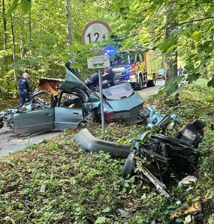 Samochód uderzył w drzewo - zginął 27-latek