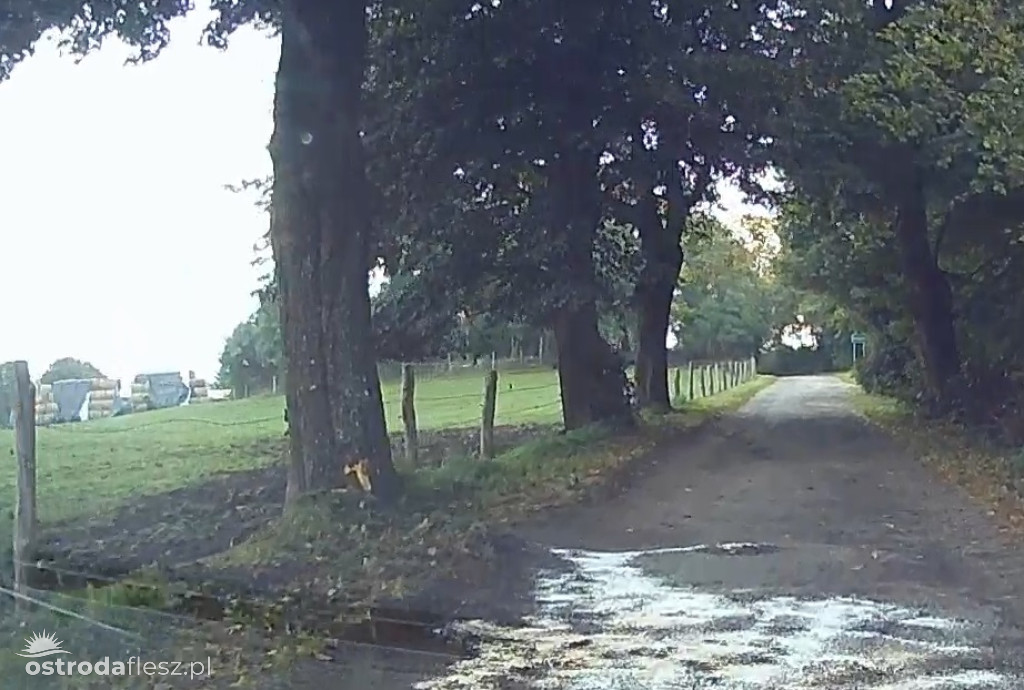 Tragiczny wypadek w Dziadyku