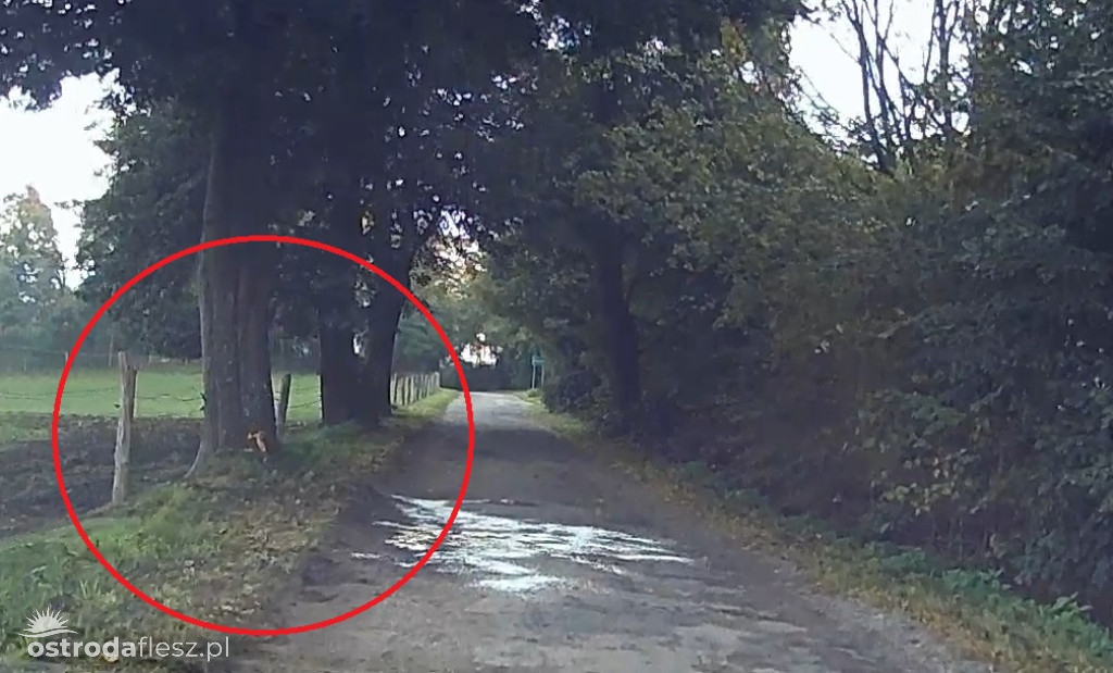 Tragiczny wypadek w Dziadyku