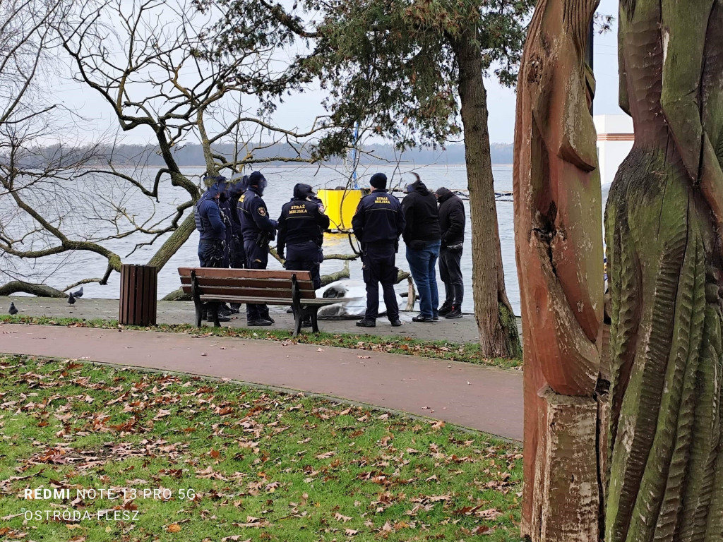 Z Jez. Drwęckiego wyłowiono ciało mężczyzny