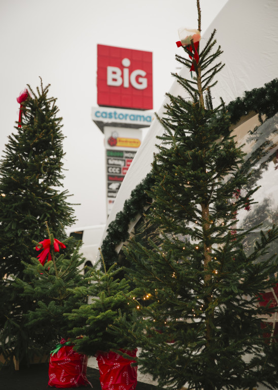 Warsztaty kreatywne i spotkania z alpakami w BIG Ostróda